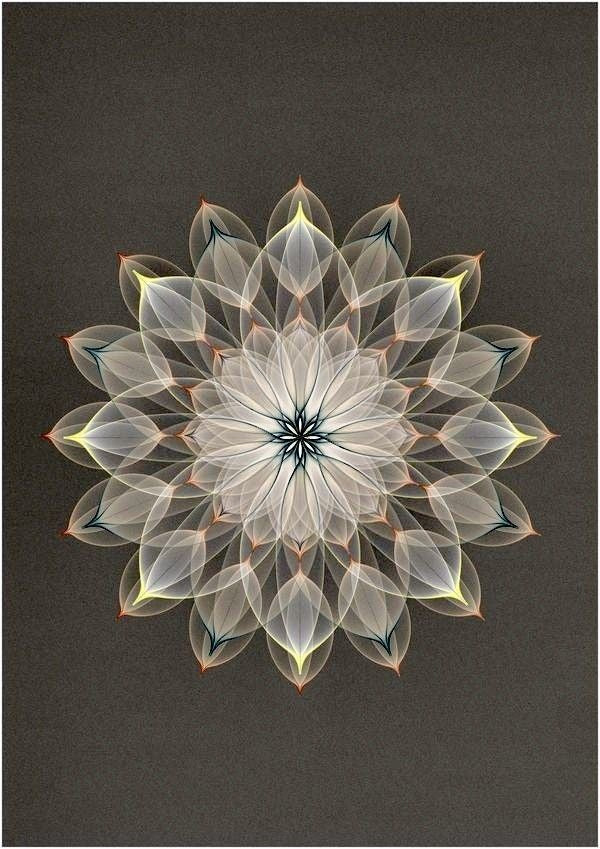 Mediumship Reading - 30 Minute Session