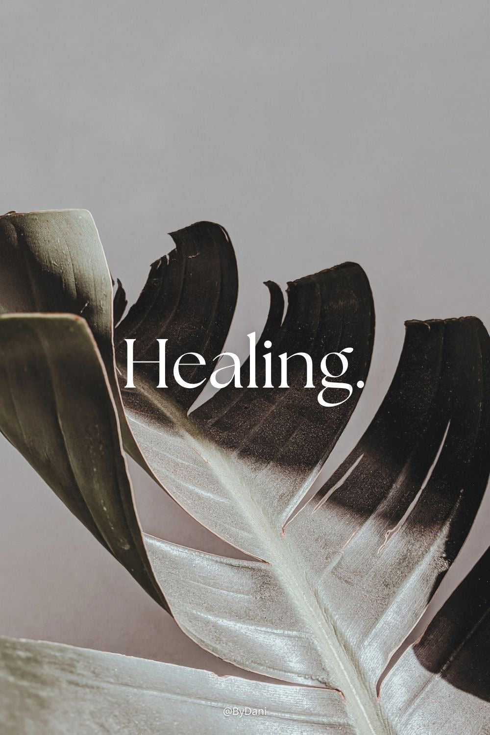 Reiki Sound Bath - 90 Minute Session