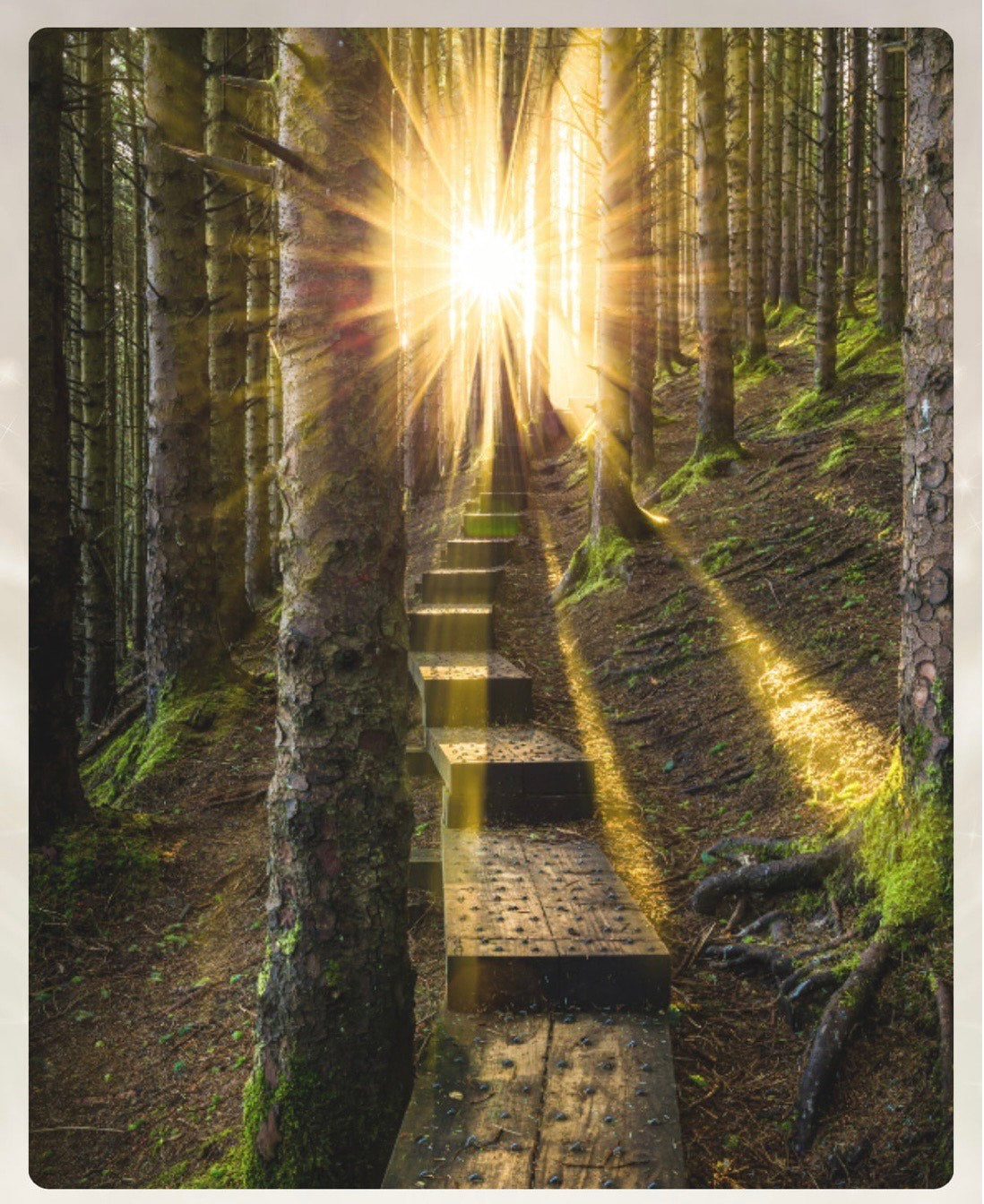 1-on-1 Life Coaching - 60 Minute Session